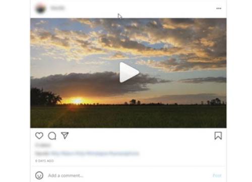 Instagram Video Downloader